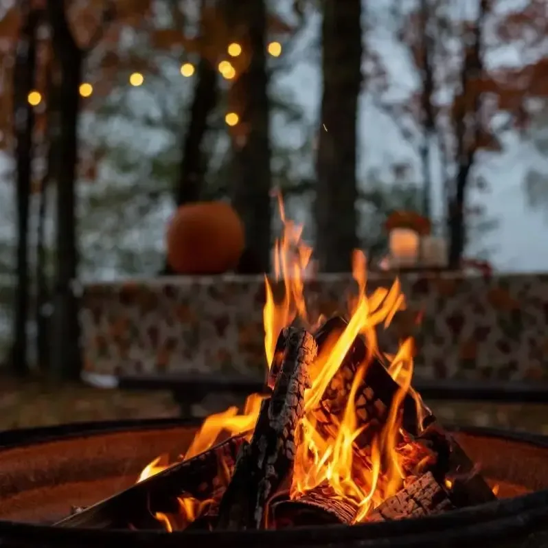 Crackling log fire fragrance oil sfc