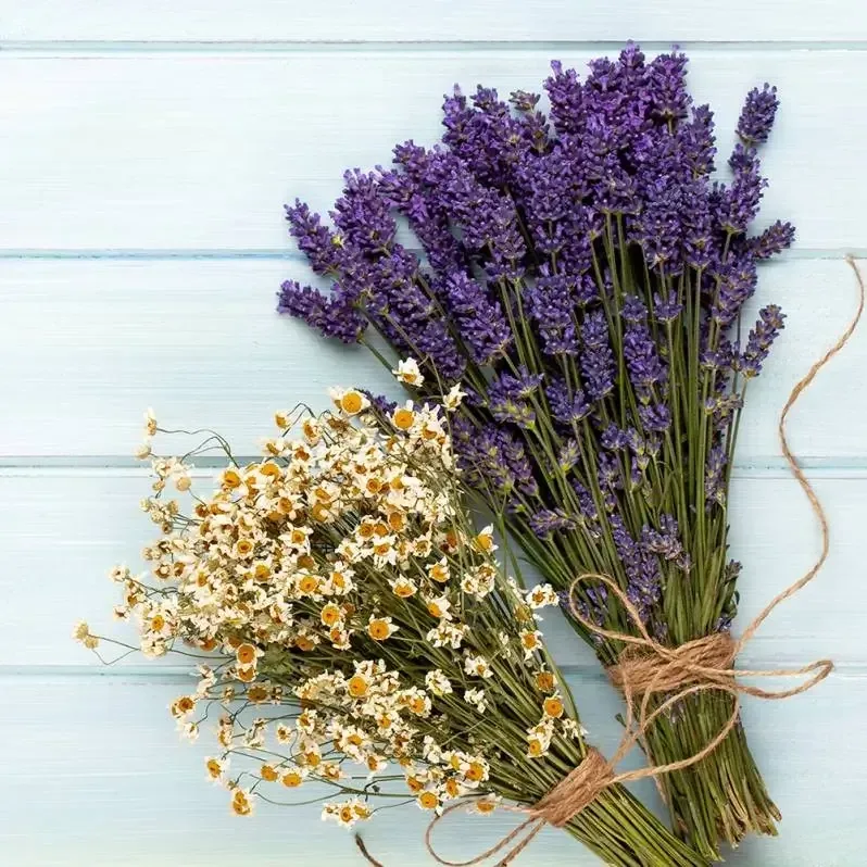 Lavender chamomile fragrance oil allergen free sfc