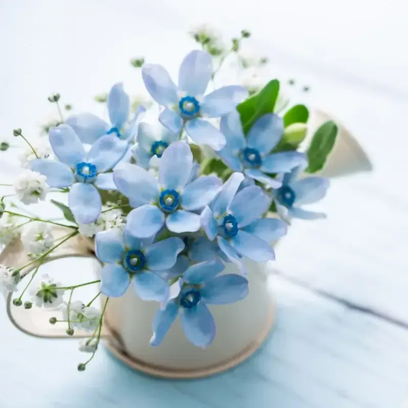 Spring awakening fragrance oil